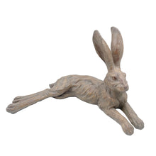 Country Hare Resting - Earth