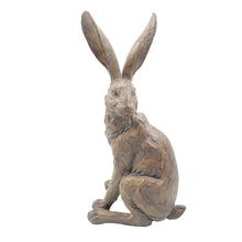 Country Hare  Standing - Earth