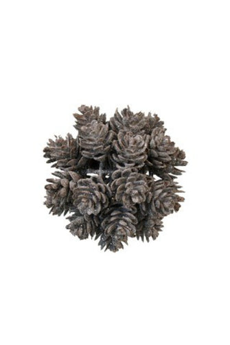 Frosted Pinecone Ball