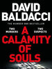 A Calamity of Souls - David Baldacci