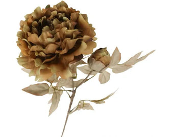 Dried Look Peach Peony - Coffee