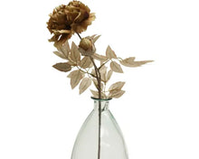 Dried Look Peach Peony - Coffee