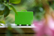 Getting Lost Suitcase - Green Fields
