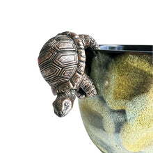 Hanging Tortoise