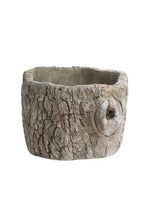 Tree Stump Cement Planter - Small