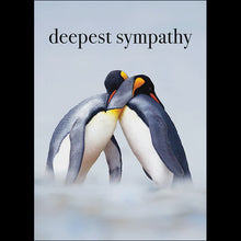 deepest sympathy