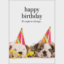 happy birthday - We might be old dogs...