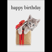 happy birthday (Kitten)