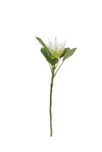 King Small Protea Spray - White