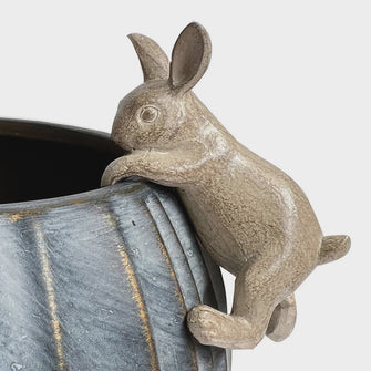 Rabbit Hanging Rim - Natural